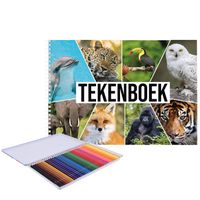 A4 wilde dieren schetsboek/ tekenboek/ kleurboek/ schetsblok wit papier met 36x kleurpotloden - Schetsboeken