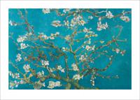 Kunstdruk Van Gogh - Almond Blossom San Ramy 1890 50x70cm