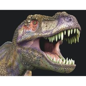 Dieren magneet 3D T-rex