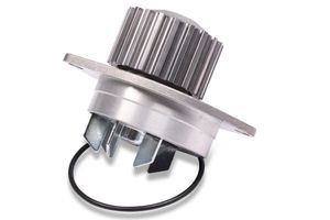 Waterpomp P812