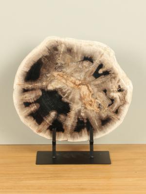 Schijf versteend hout op standaard nr. 20