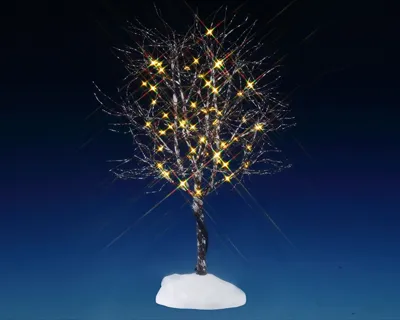 Butternut tree clear light