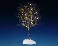 Butternut tree clear light