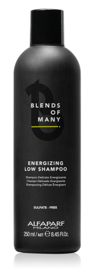 Alfaparf Blends of Many Energizing Low Shampoo 250ml | Voor Mannen