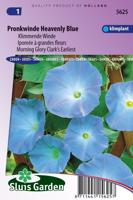 Ipomoea Tricolor zaden Heavenly Blue klimmende winde