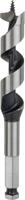 Bosch Accessoires Houtslangenboor, zeskant 20 x 100 x 160 mm, d 11,1 mm 1st - 2608585705