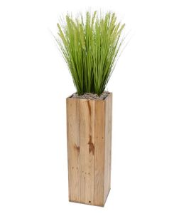 Pennisetum kunstgras x9 in Maronne High Cube 24x72