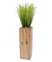 Pennisetum kunstgras x9 in Maronne High Cube 24x72