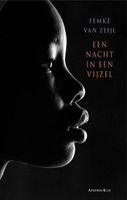 Een nacht in een vijzel - Femke van Zeijl - ebook