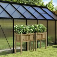 Plantenbakken met poten 2 st cm geïmpregneerd hout