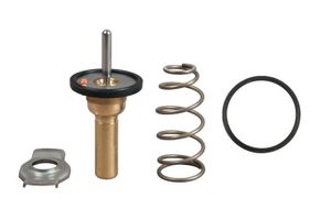 Thermostaat, koelvloeistof TH49990G1