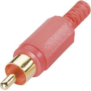 BKL Electronic 0104008/T Cinch-connector Stekker, recht Aantal polen: 2 Wit 1 stuk(s)