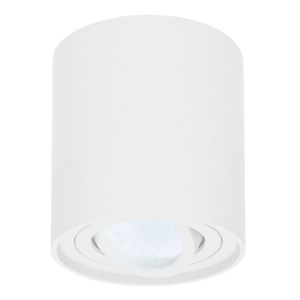 HOFTRONIC™ Dimbare LED Opbouwspot Ray Wit 5W 6000K IP20 kantelbaar