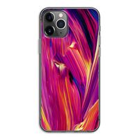 Phoenix: iPhone 11 Pro Transparant Hoesje