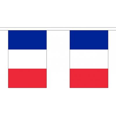Frankrijk landen thema vlaggetjes - 2x - 300 cm - Slingers versiering - Polyester