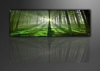 Schilderij - Bos, Groen, 120X40cm, 1luik - thumbnail