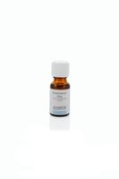 Ginkel&apos;s Rozemarijn olie (15 ml)