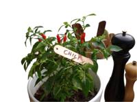 Hangetiketten koper 9,5cm set a 6 stuks - Nature