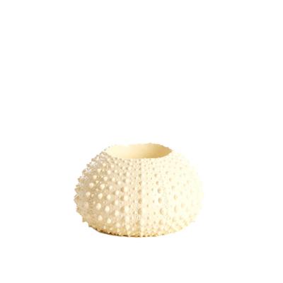 Theelichthouder Sea Urchin Creme S