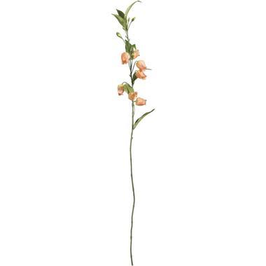 Kunstbloem Sandersonia Spray - peach - 95 cm - Leen Bakker