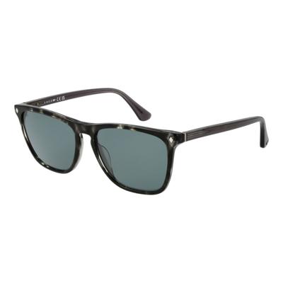 Heren zonnebril Web Eyewear WE0363 5520V