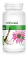 Echinacea vegan bio - thumbnail