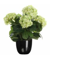 Hortensia kunstplant/kunstbloemen 45 cm - groen - in pot zwart glans - thumbnail