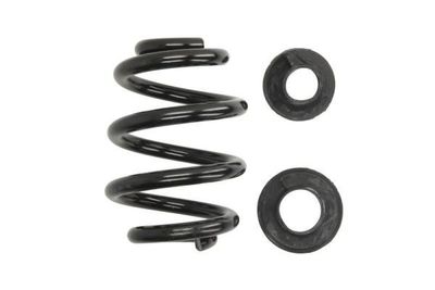 Chassisveer SW116MT