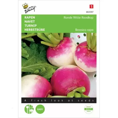 Raap Ronde Witte Roodkop, de Nancy