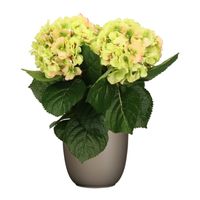 Hortensia kunstplant/kunstbloemen 36 cm - groen/roze - in pot taupe mat - thumbnail