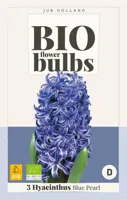 Jub Hyacinthus blue pearl bio 3st - thumbnail