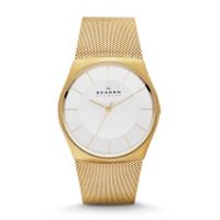 Horlogeband Skagen SKW6069 Staal Doublé 28mm