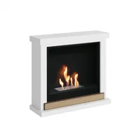 Hagen Witte Bio-ethanol open haard