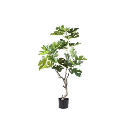 Kunst Groene vijgenboom in pot S