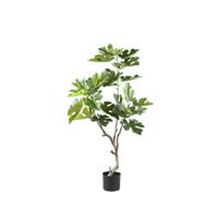 Kunst Groene vijgenboom in pot S