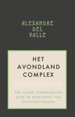 Het avondlandcomplex (Paperback)