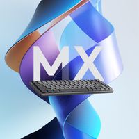 Logitech MX Mini Mechanical toetsenbord RF-draadloos + Bluetooth QWERTY US International Grafiet, Grijs - thumbnail