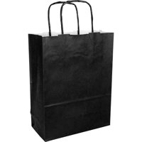 Tas | Kraftpapier | gedraaid papieren koord | 18x 8x24cm | draagtas | zwart | 100 stuks