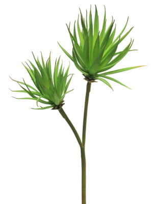 Agave plant pick x2 green 64 cm kunstbloem - Nova nature