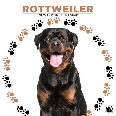 Rottweiler Kalender 2026 Rottweiler Kalender 2026