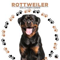 Rottweiler Kalender 2026