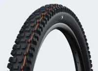 Schwalbe albert gravity pro 29x2.60 (65-622) folding evolution line ultra soft black