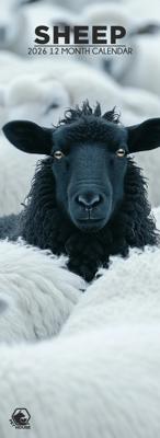 Schapen Slimline Kalender 2026