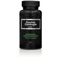 Apb Holland Garcinia cambogia 290mg puur
