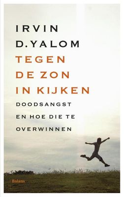 Tegen de zon in kijken - Irvin D. Yalom - ebook