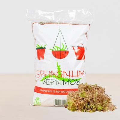 Sphagnum mos levend