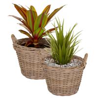 Planten/bloemen mand Levi - 2x - rotan - naturel - D25 x H18 cm - plantenpot voor buiten