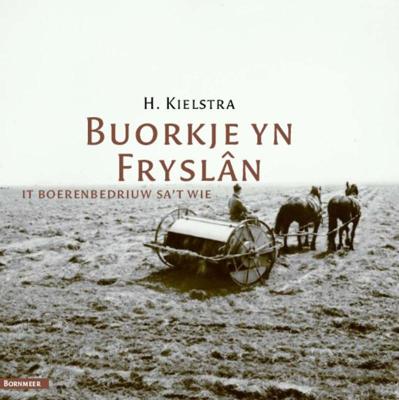Buorkje yn Fryslân (Paperback)