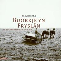 Buorkje yn Fryslân (Paperback)
