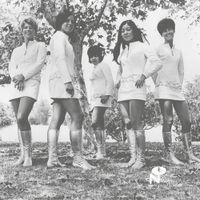 Tale Of My Lost Love - LP (0825764107310) - thumbnail